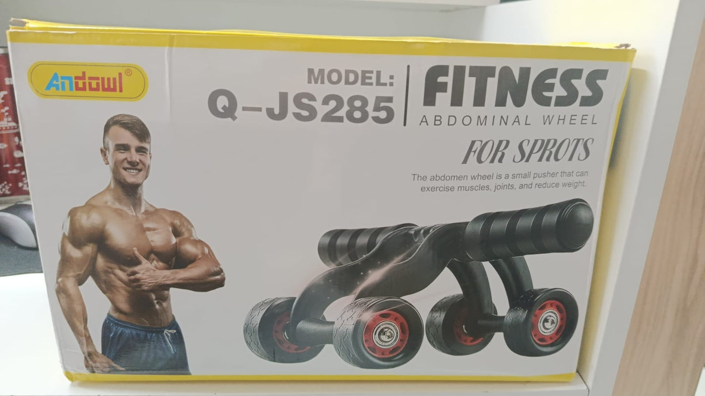 Rueda abdominal de 4 ruedas